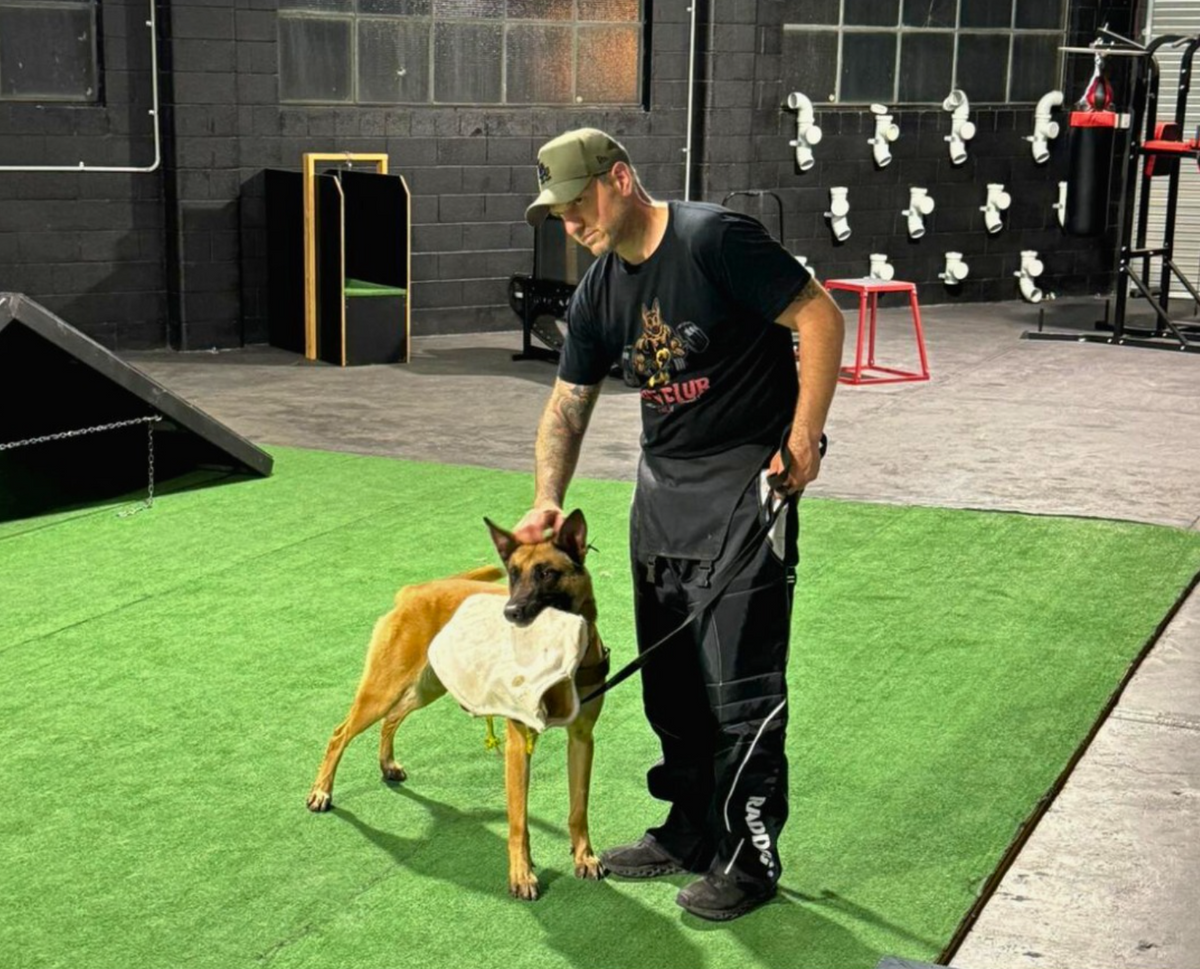 Private Dog Training Adelaide with Adelaide’s Best Dog Trainer
Are you searching for the best Private Dog Training Adelaide has to offer? My one-on-one coaching program is the ideal solution to help you and your dog achieve real, lasting results. Whether your dog struggles with leash pulling, reactivity, or aggression, or you simply want to improve obedience, I customise each session to suit your dog’s unique needs and your personal goals.