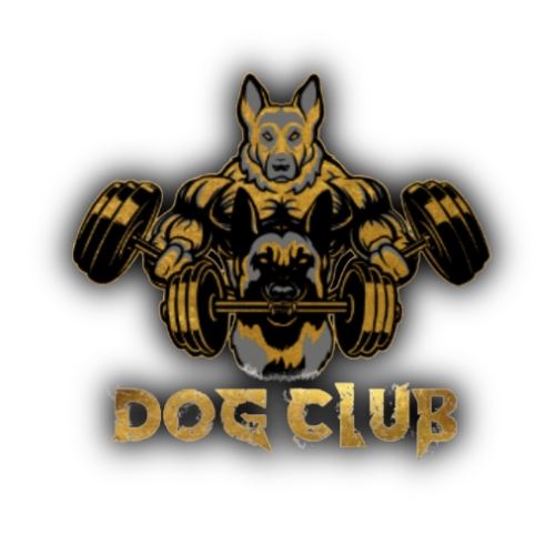 Dog Club SA, Adelaide’s top-rated dog training services
