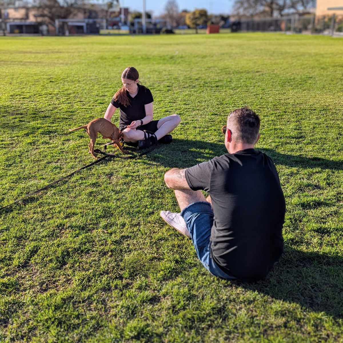 Private Dog Training Adelaide with Adelaide’s Best Dog Trainer
Are you searching for the best Private Dog Training Adelaide has to offer? My one-on-one coaching program is the ideal solution to help you and your dog achieve real, lasting results. Whether your dog struggles with leash pulling, reactivity, or aggression, or you simply want to improve obedience, I customise each session to suit your dog’s unique needs and your personal goals.