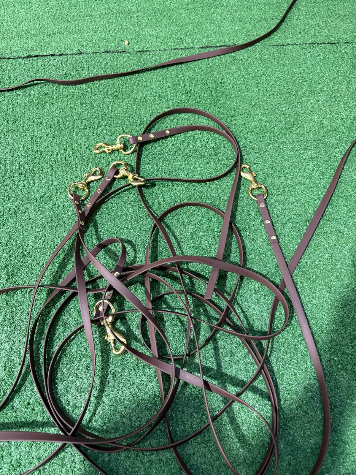 Leads