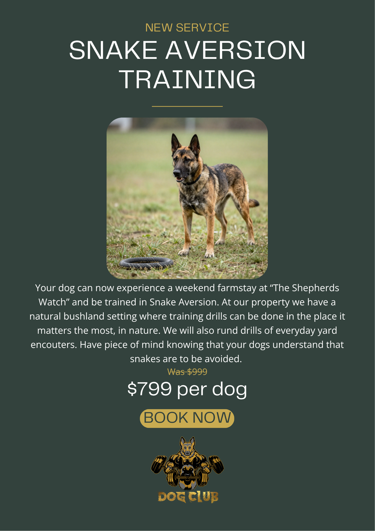 Snake Avoidance Training (Murray Bridge)