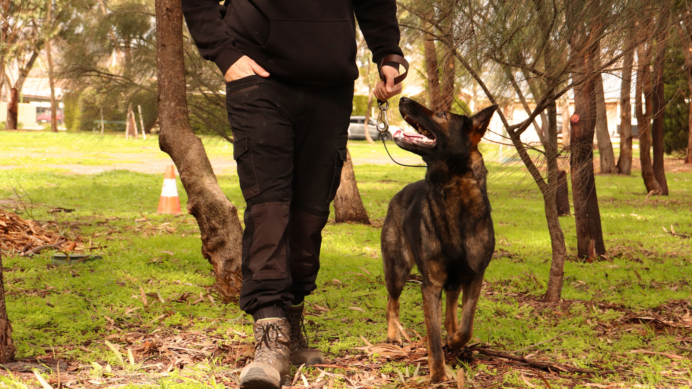 Dog Club SA – Dog Training – Building Confidence And Control