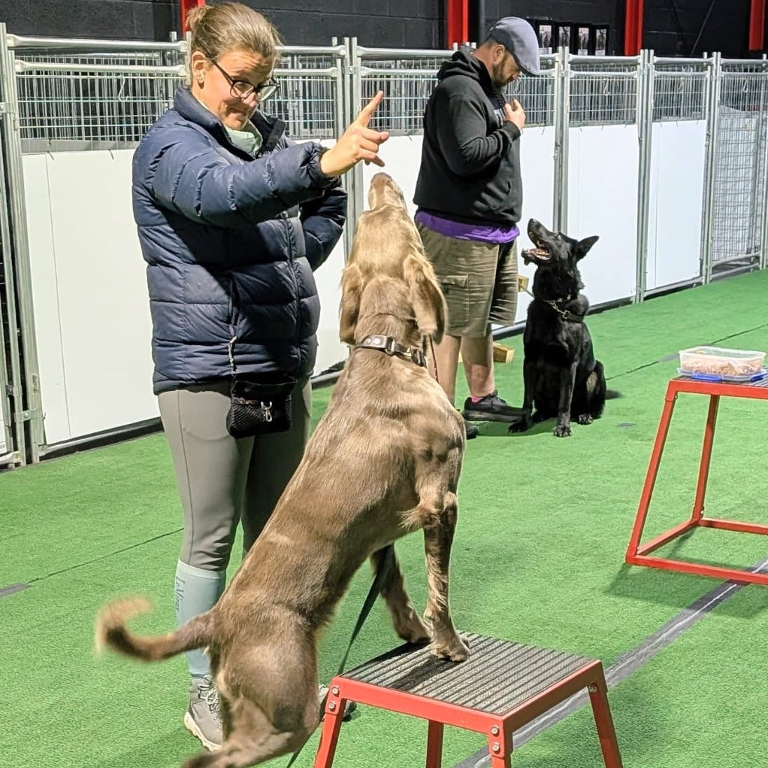Dog training session with a handler and another person in an indoor facility.