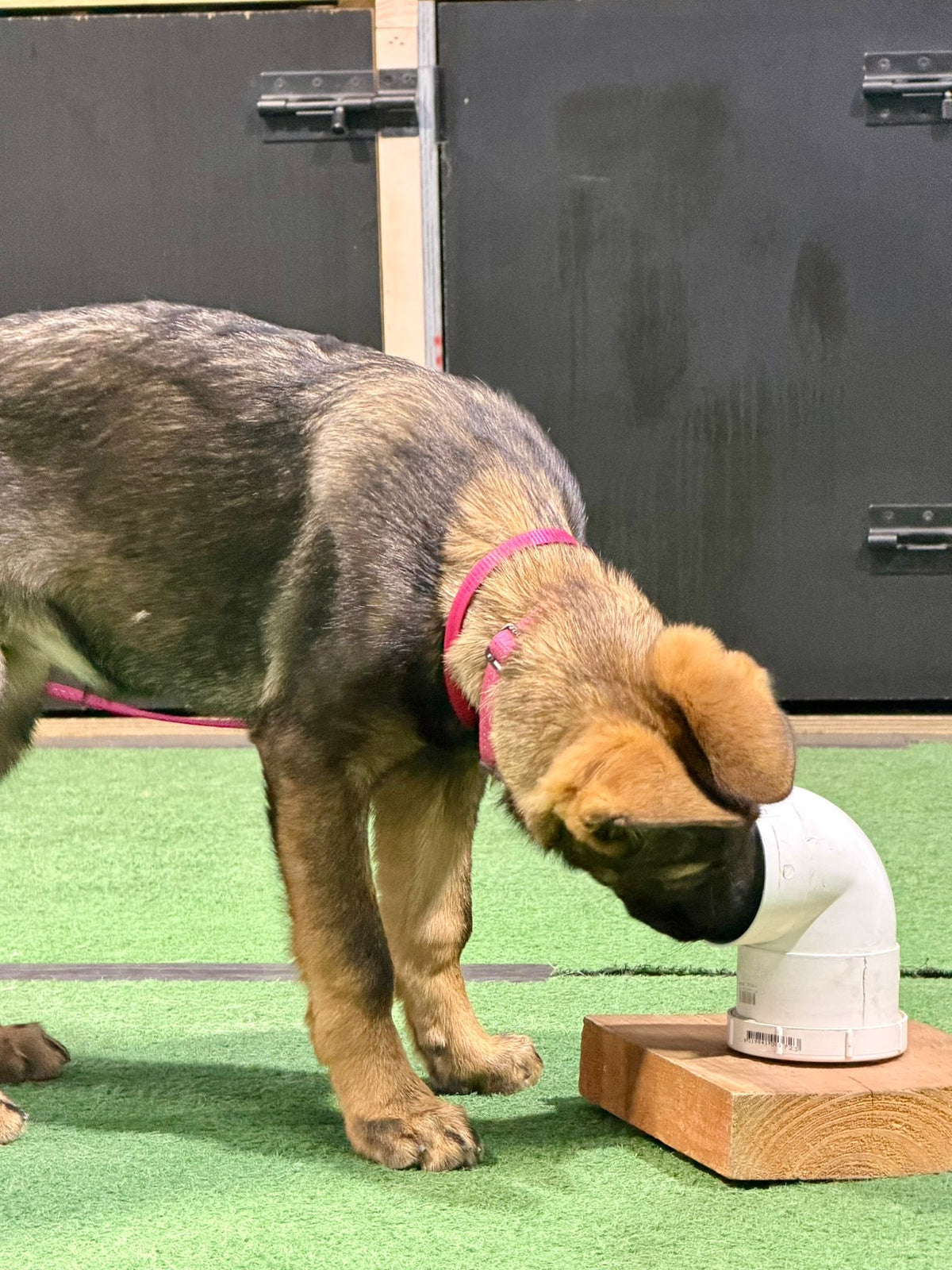 Detection Foundations Program