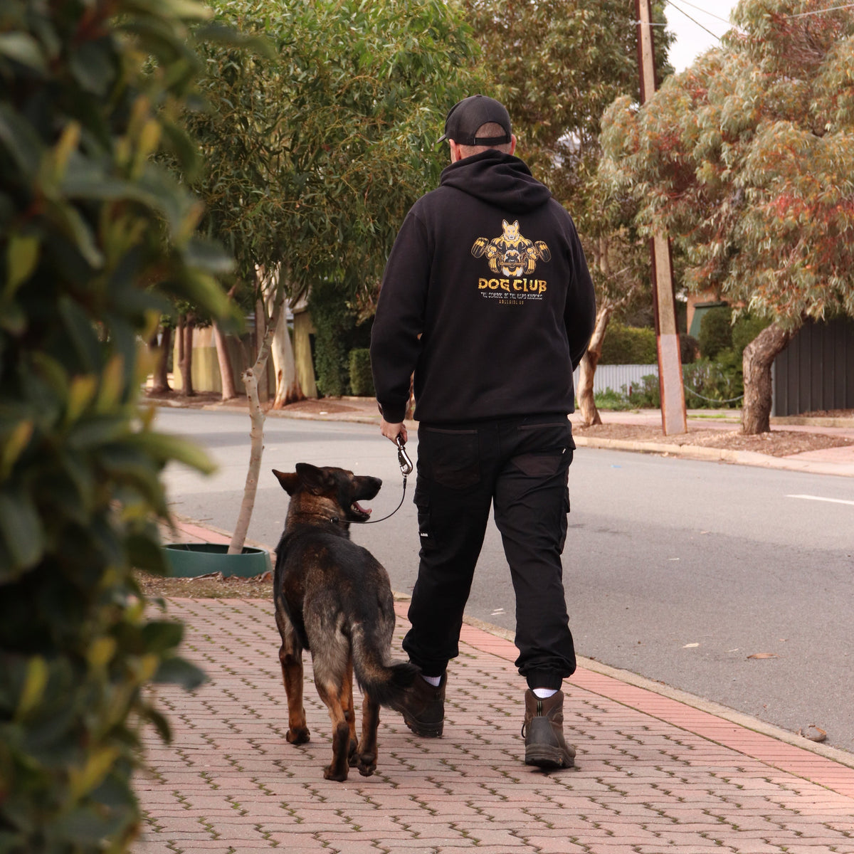 Person walking a dog on a leash in an urban setting with trees and buildings in the background.