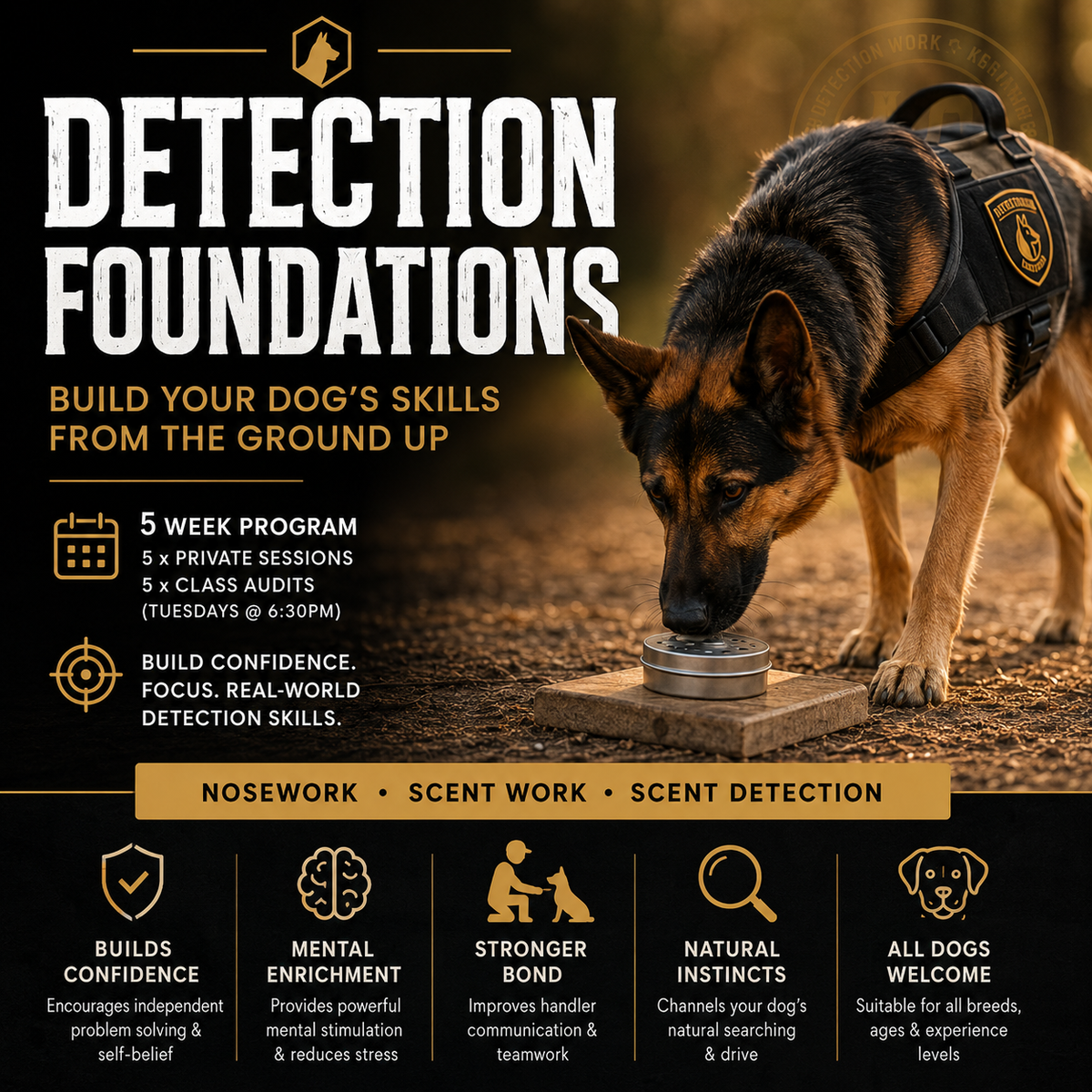 Detection Foundations Program