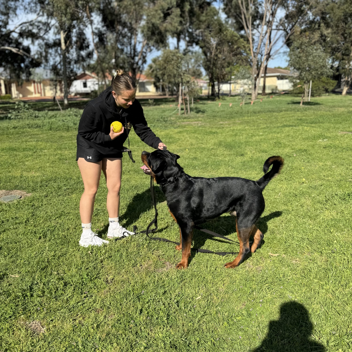 Dog Club SA handler doing enrichment with dog during park run
