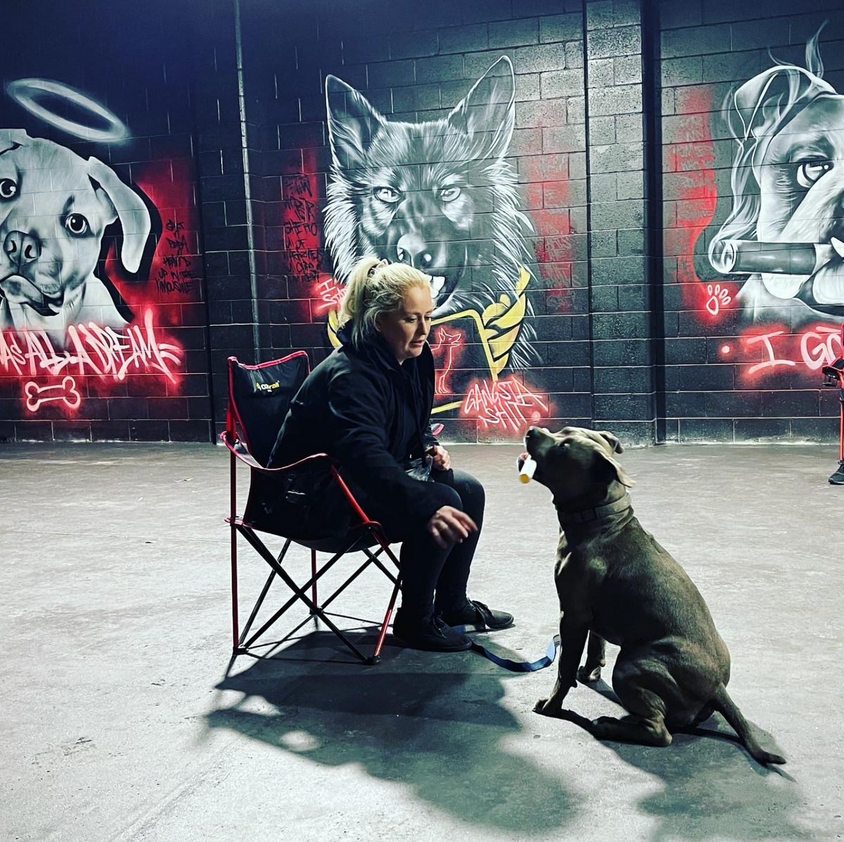 Dog owner training with professional trainers at Dog Club SA in group class