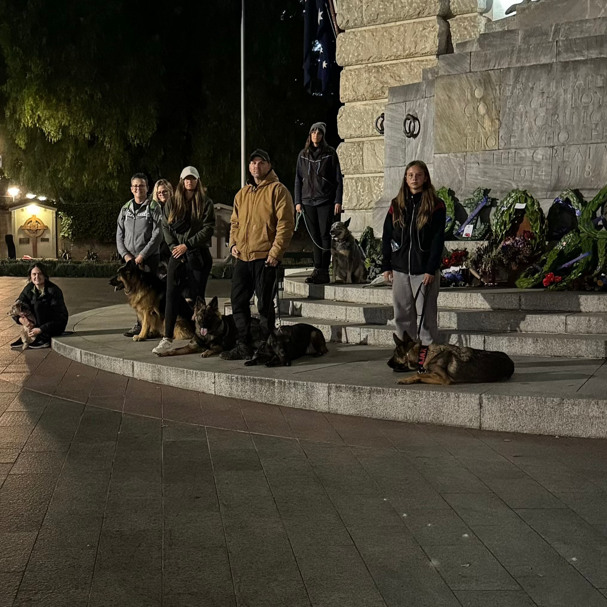 6 dogs and their owners standing on a platform during a training class.