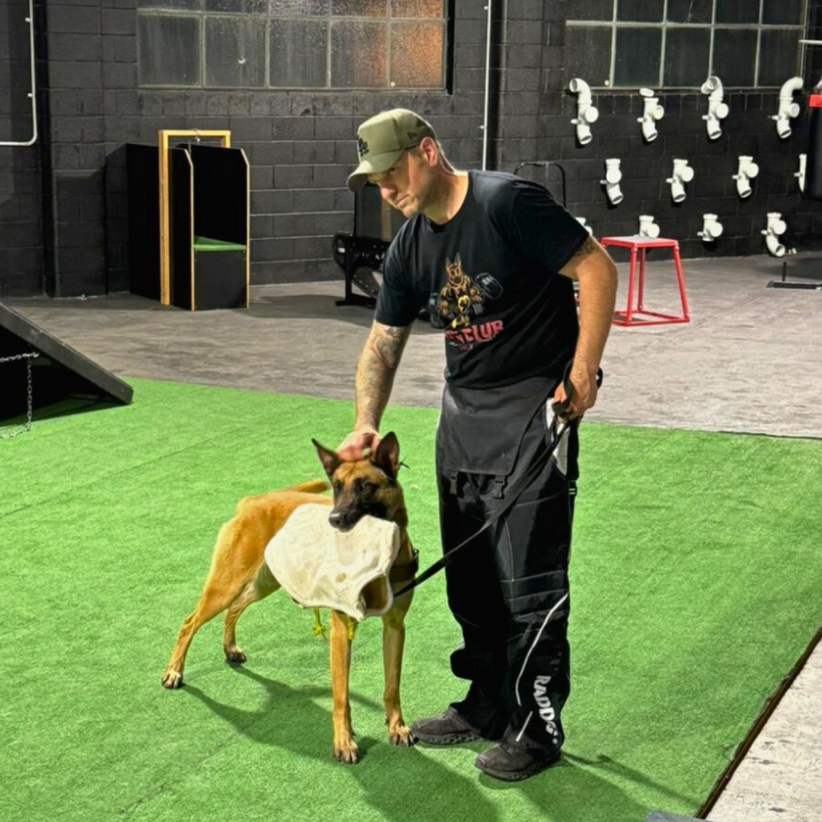 Bite work class with Adelaide's best dog trainer from Dog Club SA