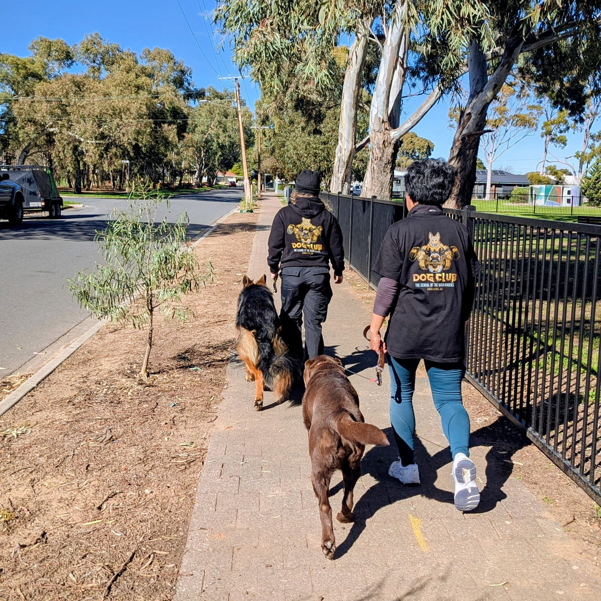 Two people walking dogs on a sidewalk with trees and a clear sky in the background