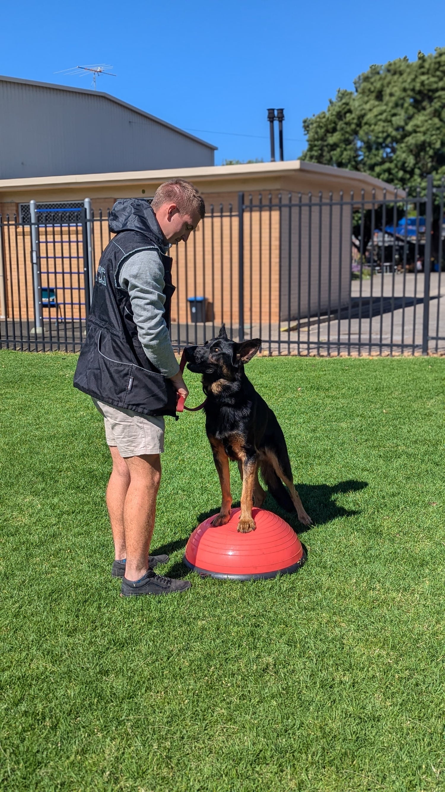 SERVICES Dog Club SA services-dog-club-sa