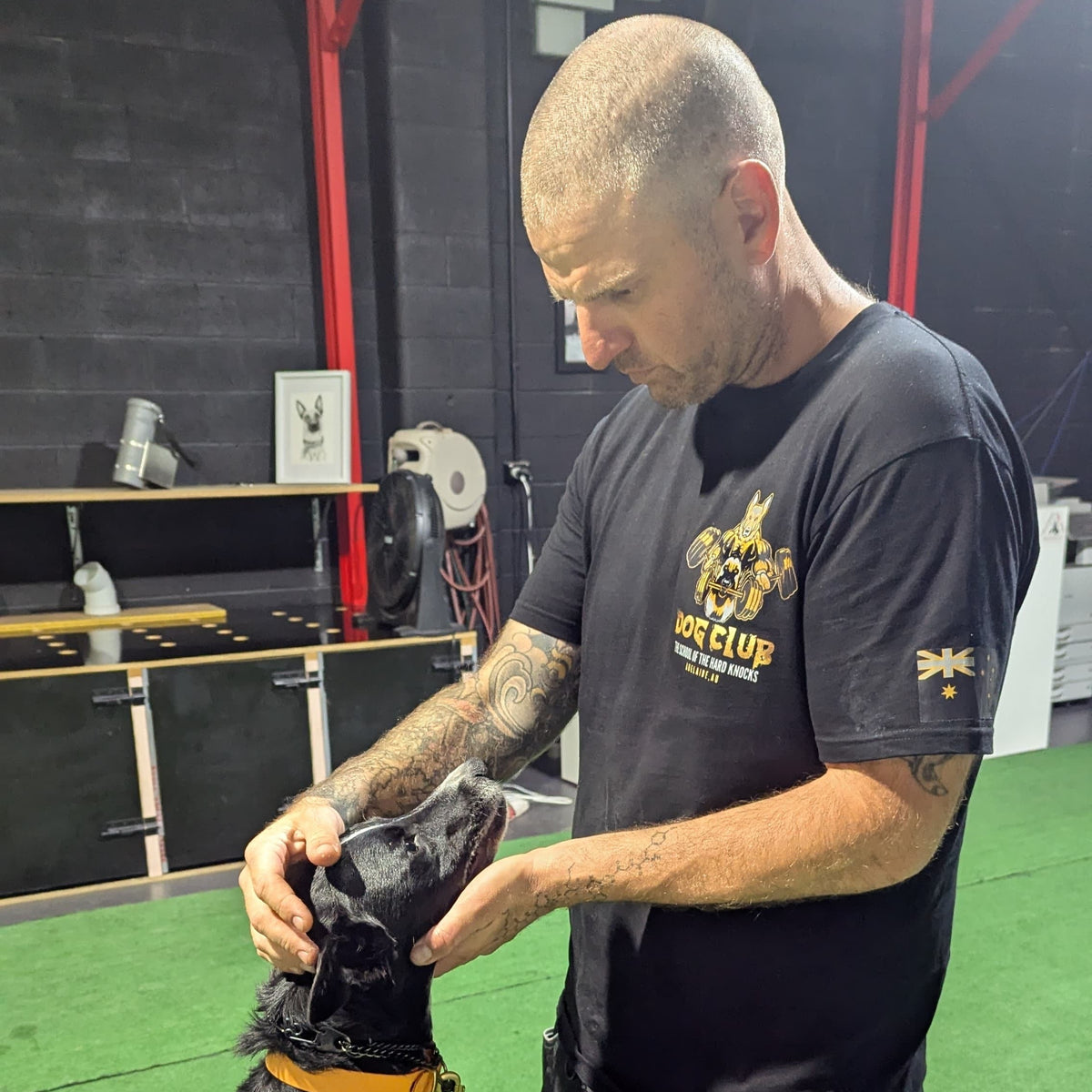 A professional trainer in a black T-shirt is training a dog in an indoor facility with various training equipment in the background.