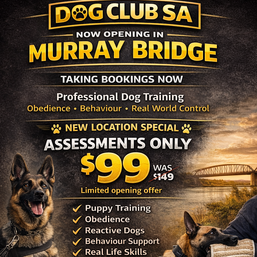 Advertisement for Dog Club SA opening in Murray Bridge with dogs and a bridge in the background.