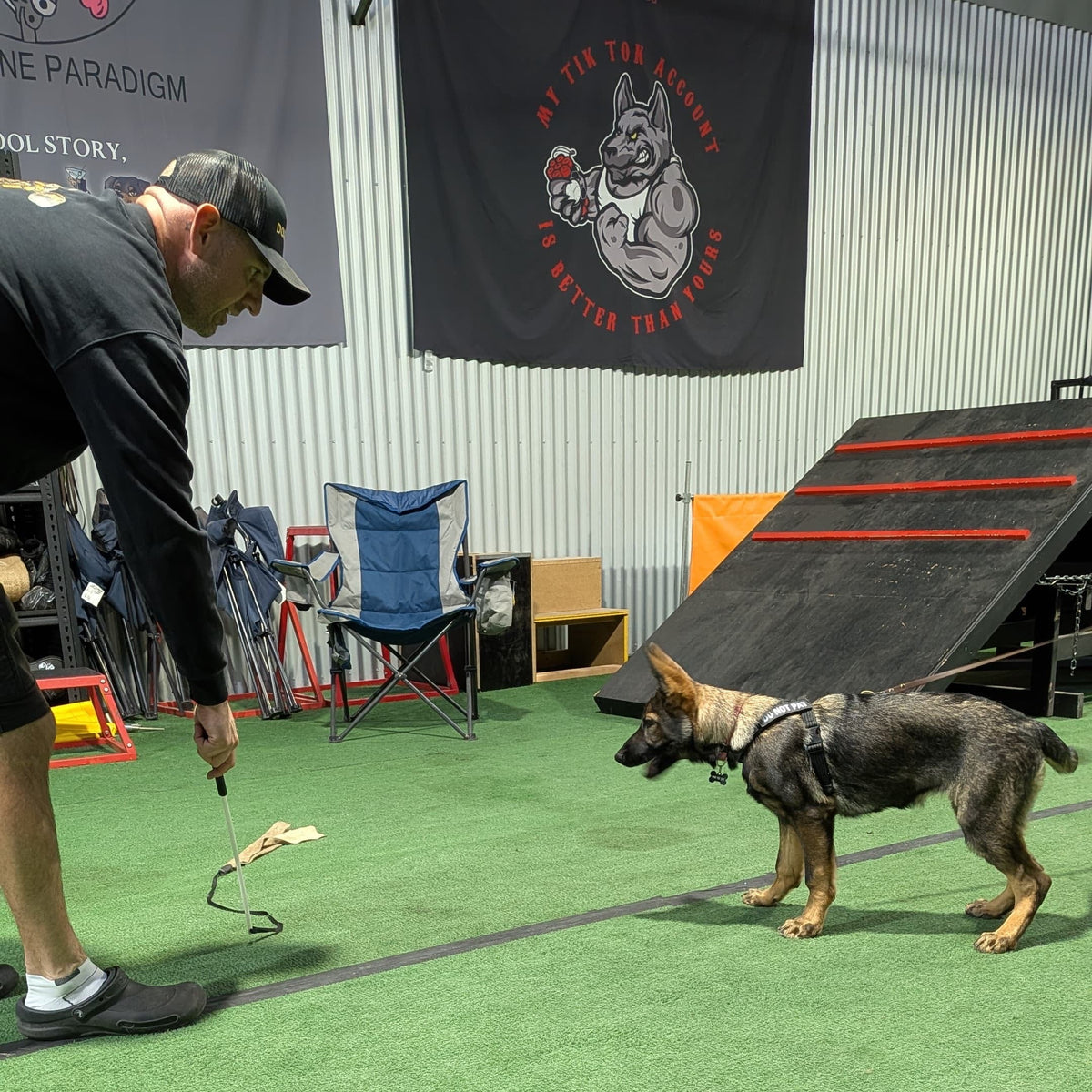 Dog trainer with a dog on a green indoor training area