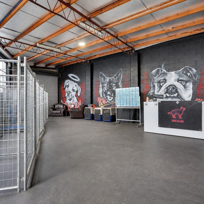 Indoor pet facility with cages and wall art in a warehouse-like setting.