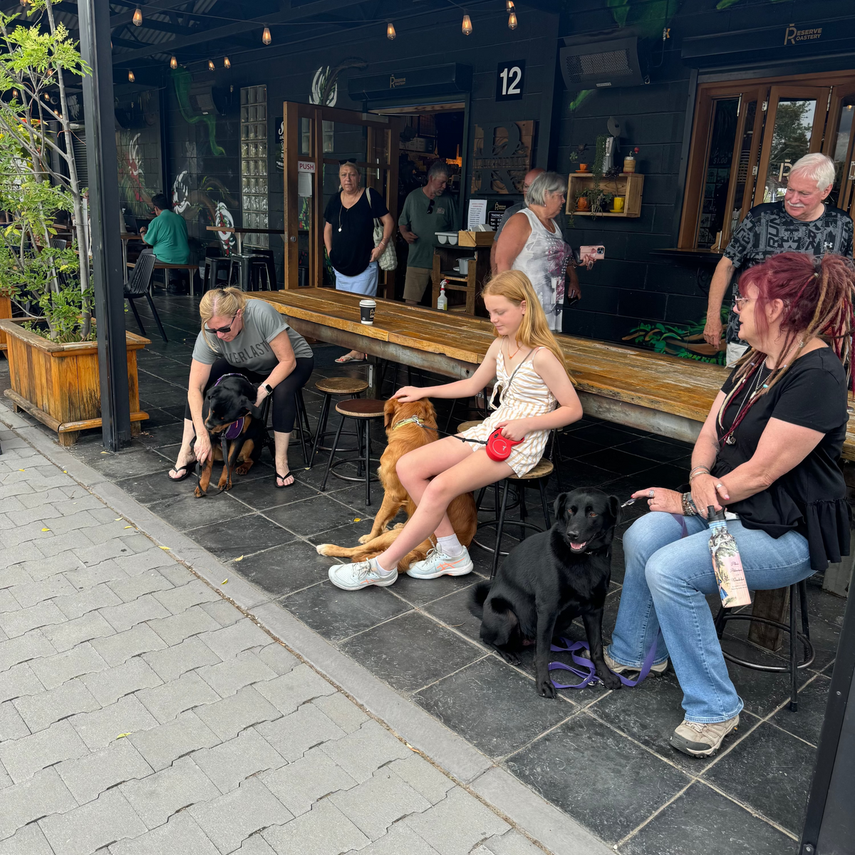 Dogs and their owners sitting out the front of a busy cafe.