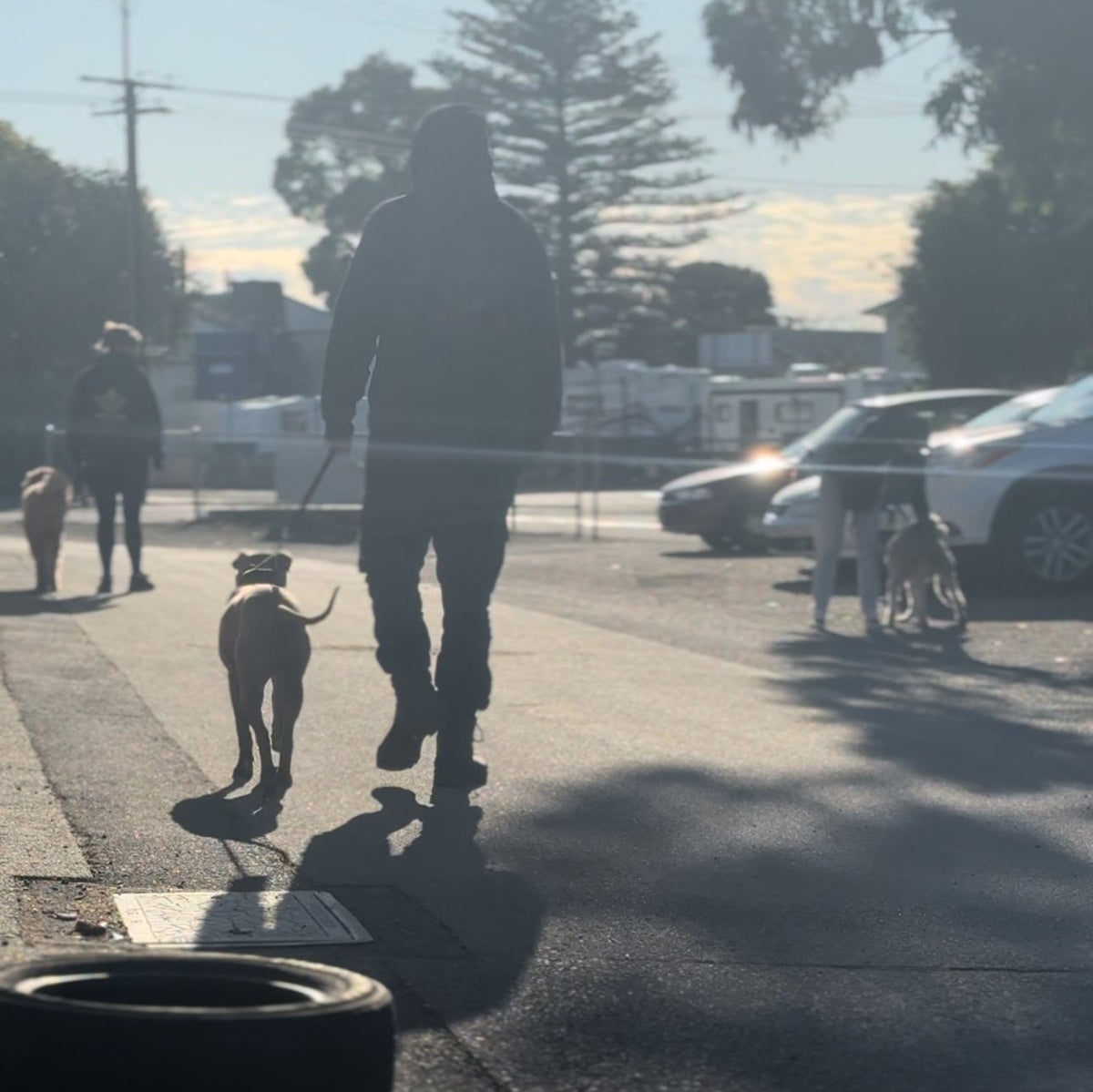 3 dog trainers walking dogs on a lead through a carpark