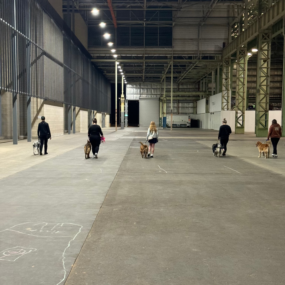 A group class of owners and their dogs walking through a warehouse together.