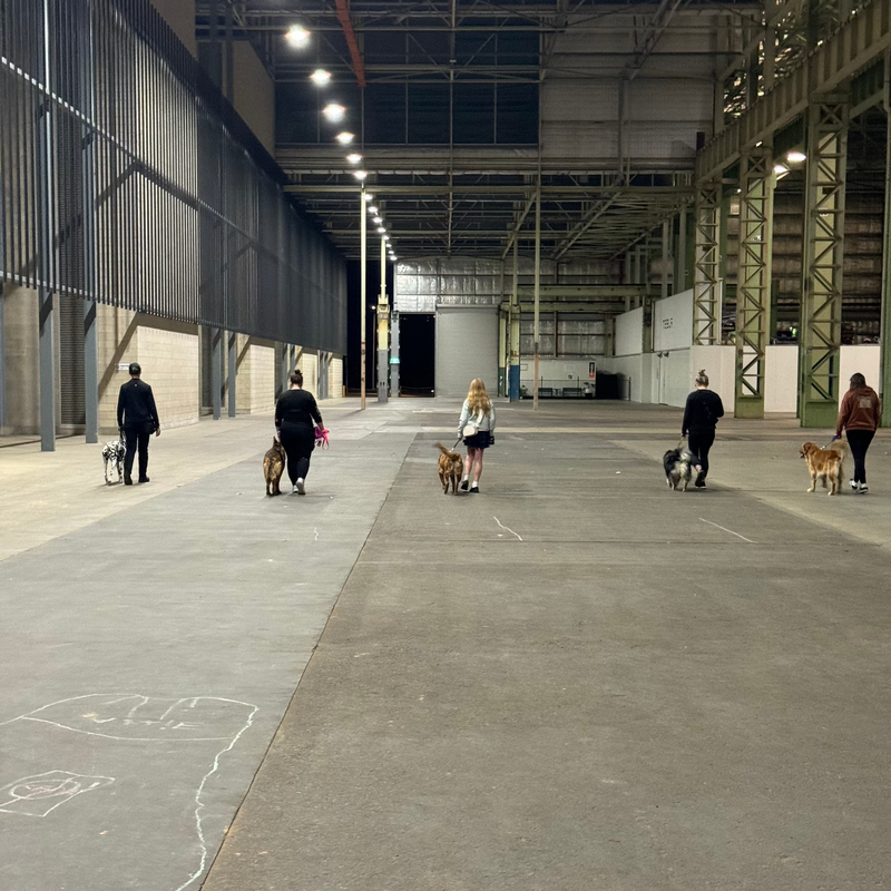 A group class of owners and their dogs walking through a warehouse together.