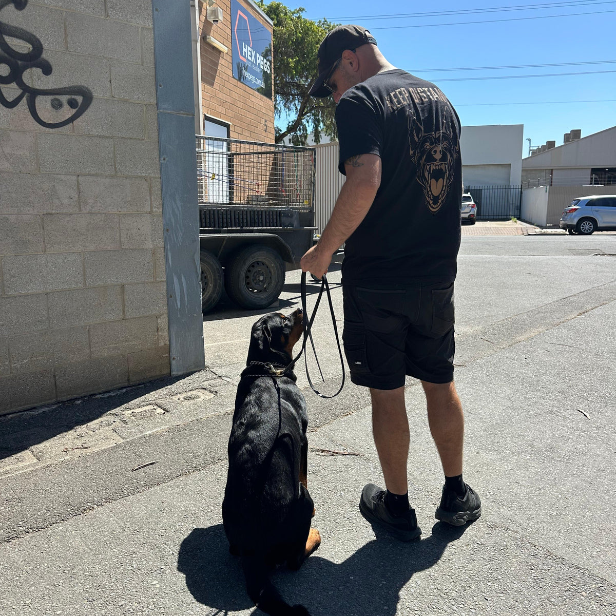 A dog trainer holding the lead of a 
Rottweiler dog on a day time walk.